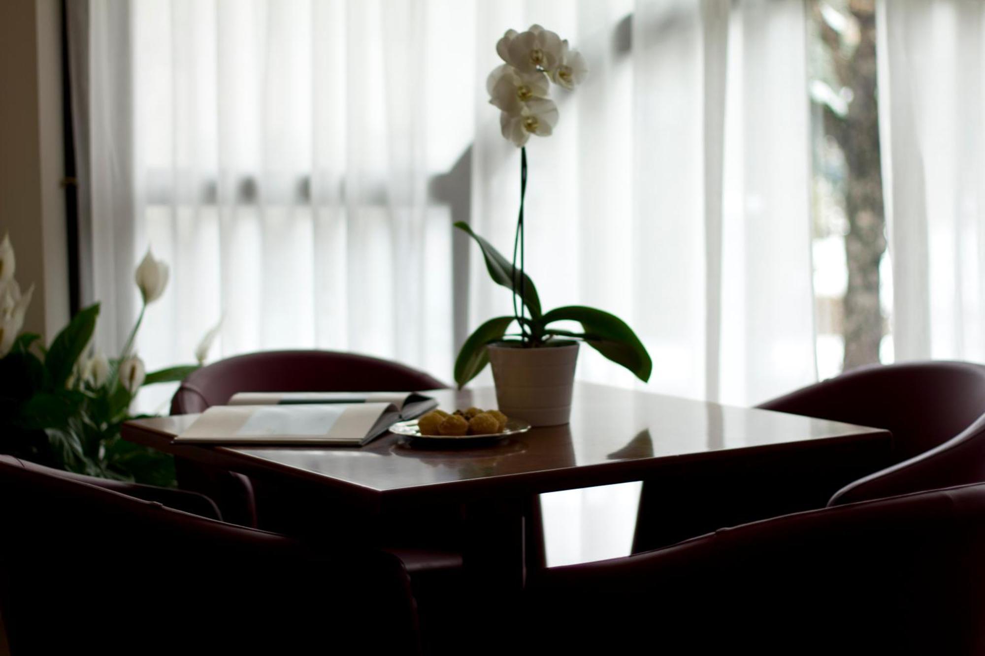 Hotel Norden Palace 3*